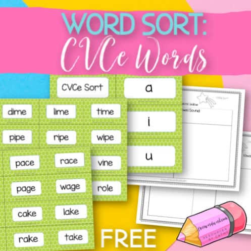 Free CVCe Word Sort