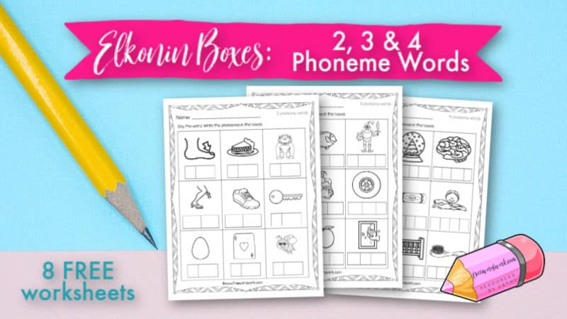 Elkonin Boxes: 2, 3 & 4 Phoneme Worksheets - Free Word Work