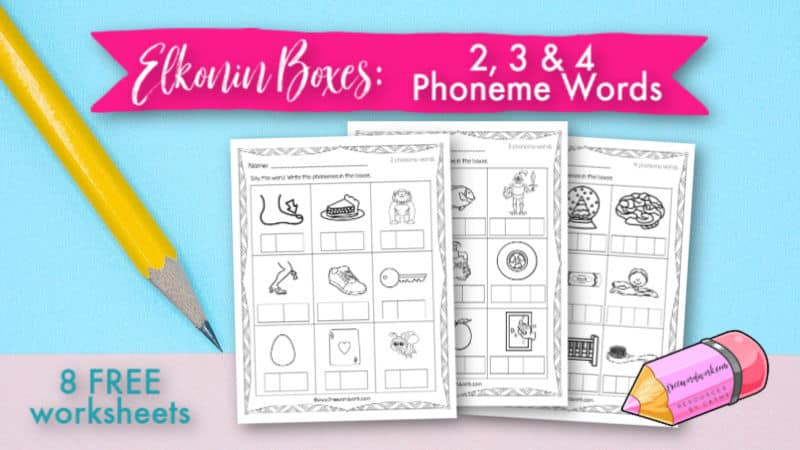 Add these Elkonin Boxes: 2, 3 & 4 Phoneme Worksheets to your collection of phonics resources for practicing sound boxes.