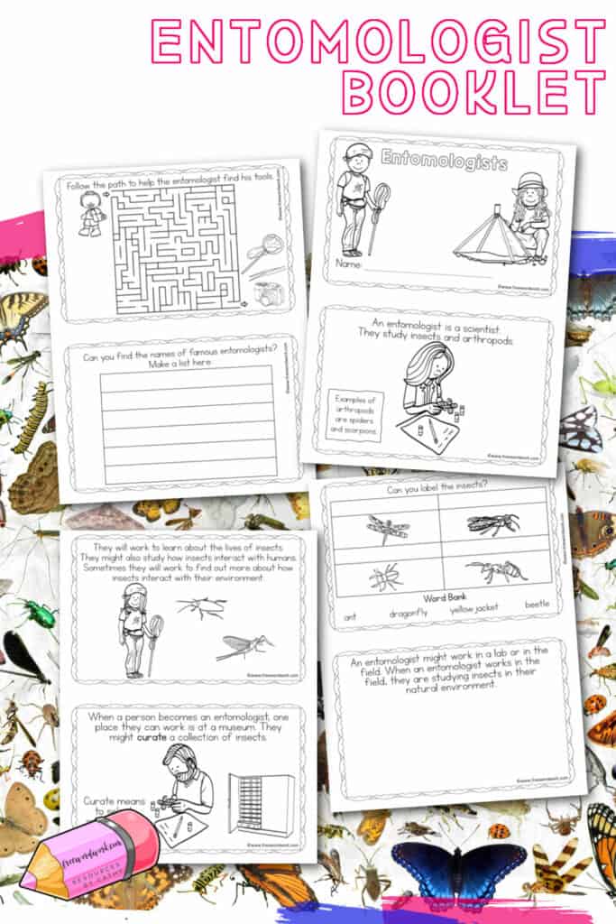 Add this reading and activity entomologist booklet to your classroom during your study of insects.