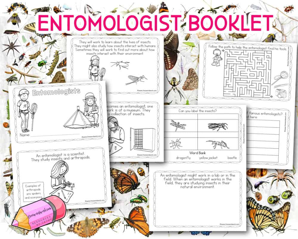 Add this reading and activity entomologist booklet to your classroom during your study of insects.