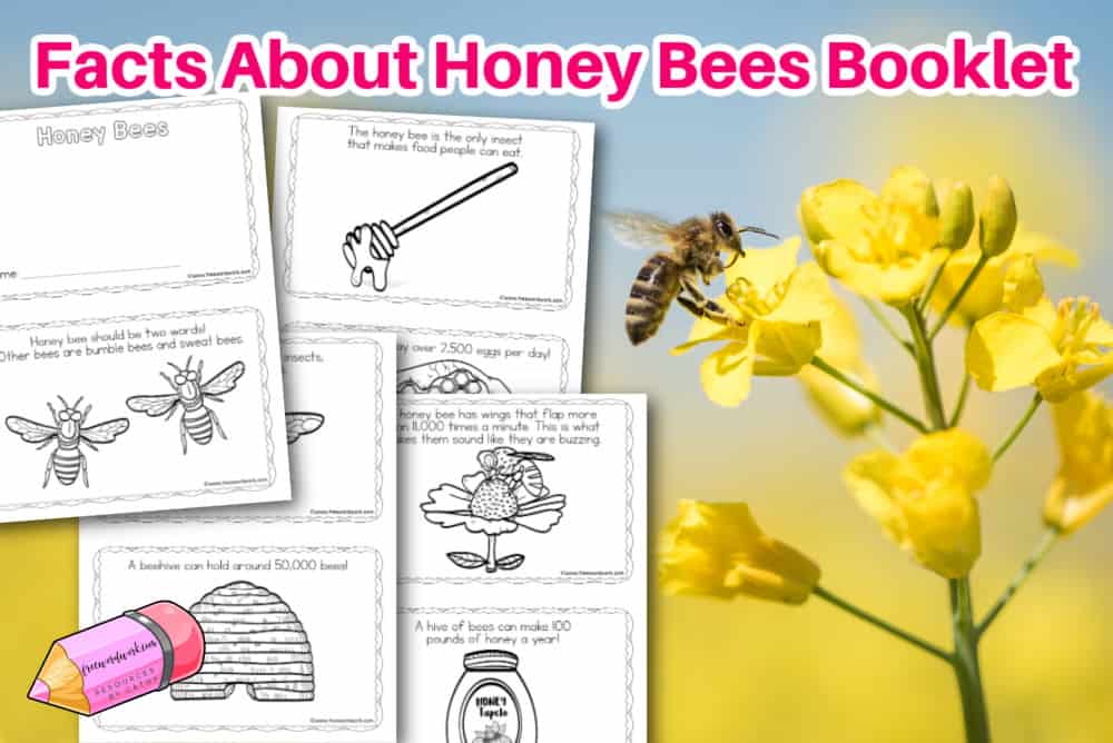 Download this facts about honey bees booklet to help your readers learn more about this insect.