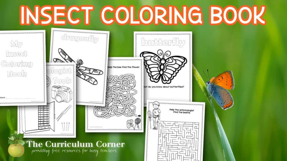 Download this insect coloring book to add something fun to your bug study in the classroom.