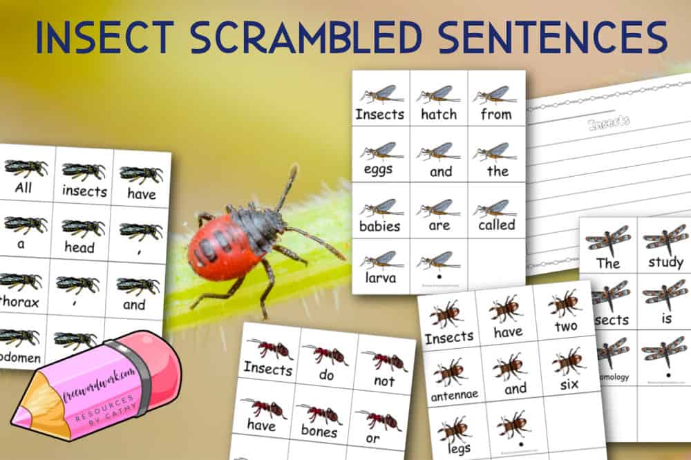 This set of insect scrambled sentences can be used as a literacy center during your entomology study.