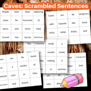 Reading Archives - Free Word Work